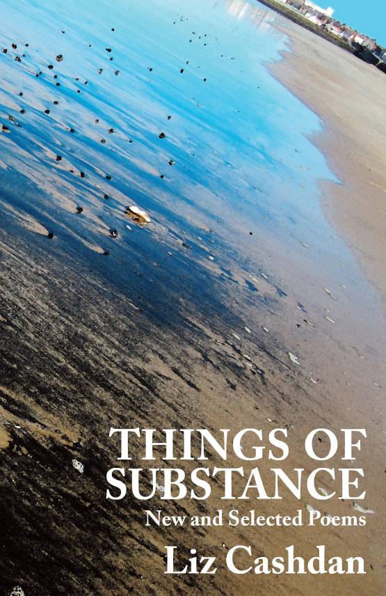 Things of Substance book cover