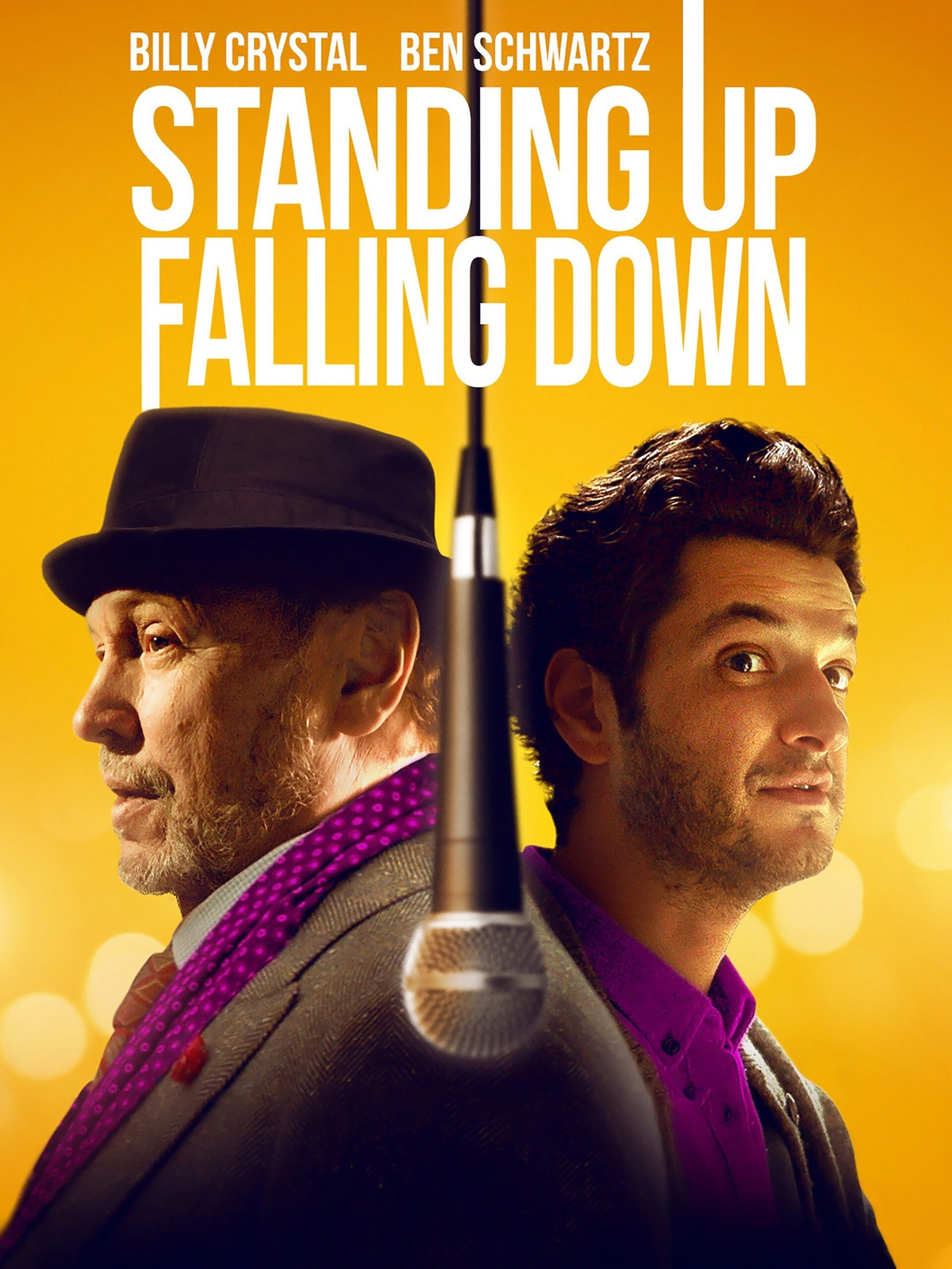 Standing up, Falling Down film poster
